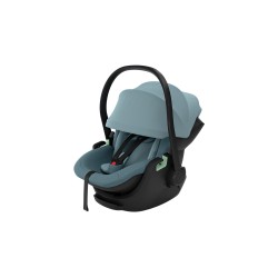 Thule Maple