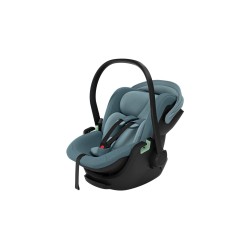 Thule Maple