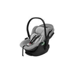 Thule Maple