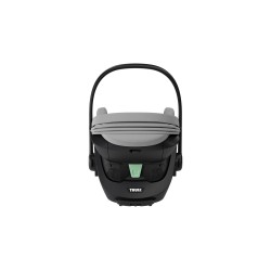 Thule Maple