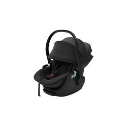 Thule Maple