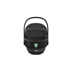Thule Maple