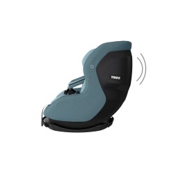 Thule Elm