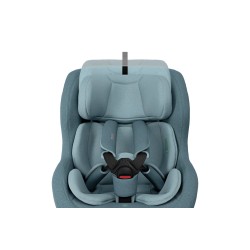 Thule Elm