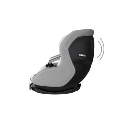 Thule Elm