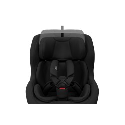 Thule Elm