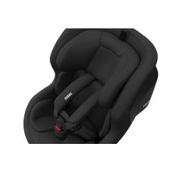 Thule Elm