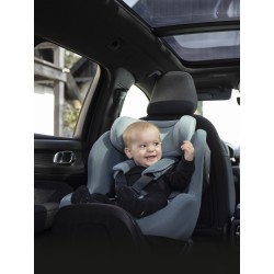 Thule Elm