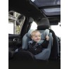 Thule Elm