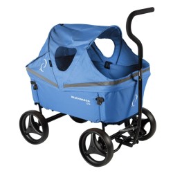 Beachwagon hood