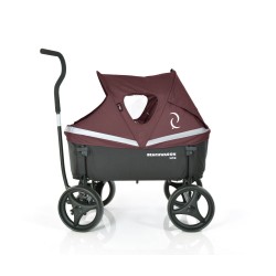 Beachwagon hood