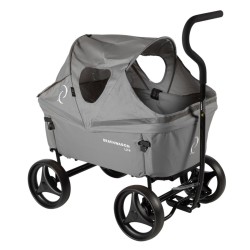 Beachwagon hood