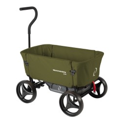 Beachwagon trunk