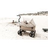 Beachwagon Lite