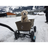 Beachwagon Lite