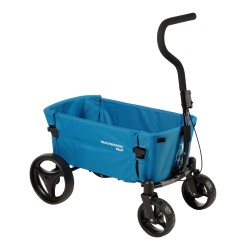 Beachwagon Mini