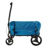 Beachwagon Mini