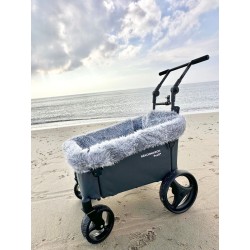 Beachwagon Push