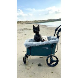 Beachwagon Push