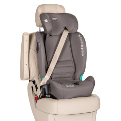 Carrello Yukon