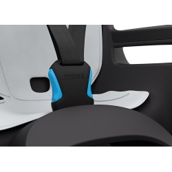 Thule RideAlong 2