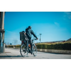 Thule RideAlong 2