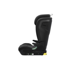 Thule Palm