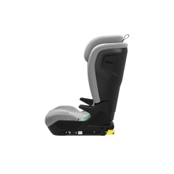 Thule Palm
