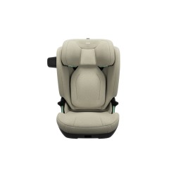 Thule Palm