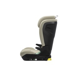 Thule Palm