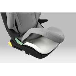 Thule Palm