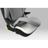 Thule Palm