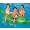 Intex inflatable crocodile