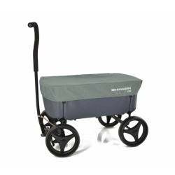 Beachwagon cover