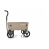 Beachwagon