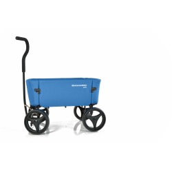 Beachwagon
