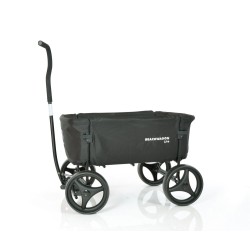 Beachwagon
