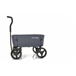Beachwagon