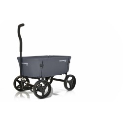 Beachwagon