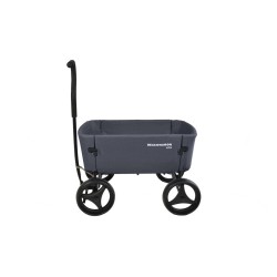 Beachwagon