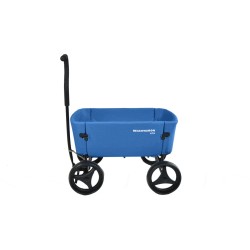 Beachwagon