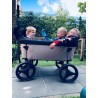 Beachwagon