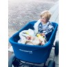 Beachwagon